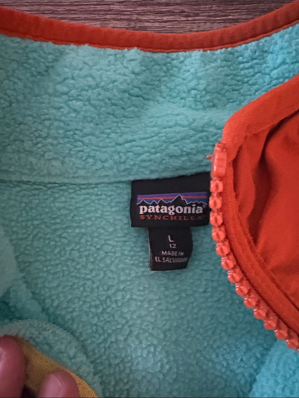 Kids Patagonia Synchilla Teal Fleece with Rust Trim - Picture 2 of 3